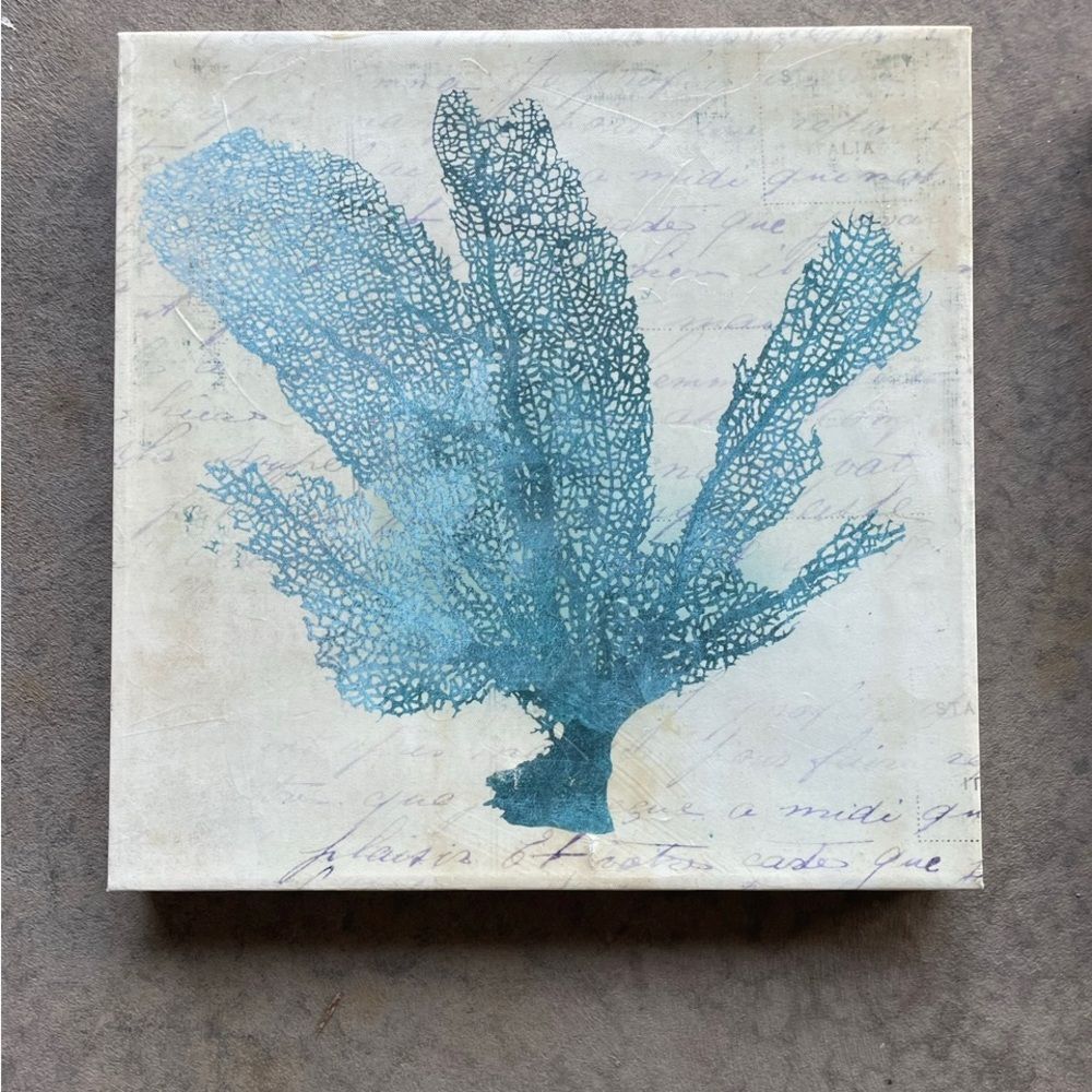 Coral coastal canvas print